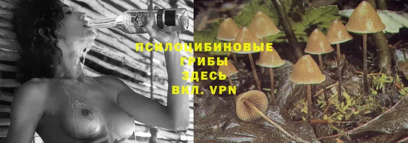 мега рабочий сайт  Барыш  Галлюциногенные грибы MAGIC MUSHROOMS  дарнет шоп 